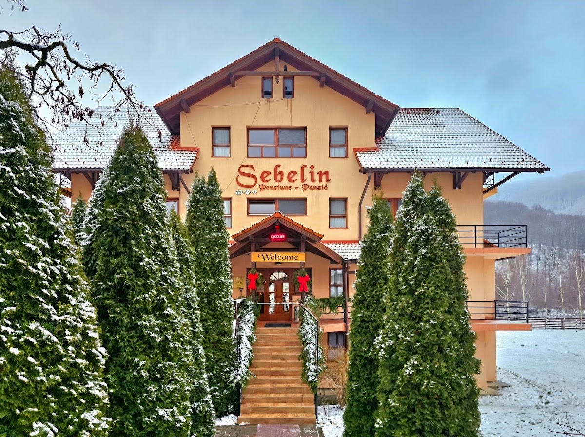 Sebelin Pensiune Restaurant - foto 5