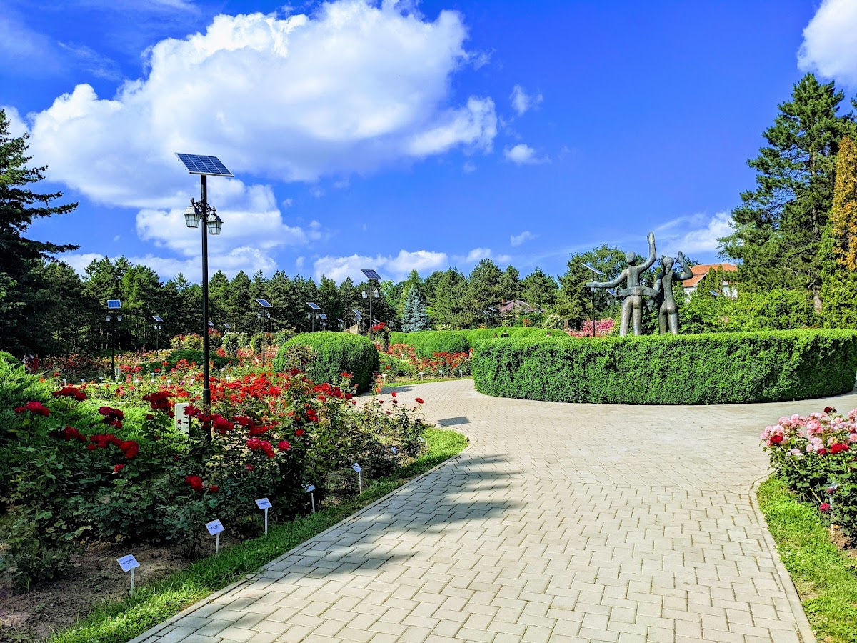 Secția Rosarium