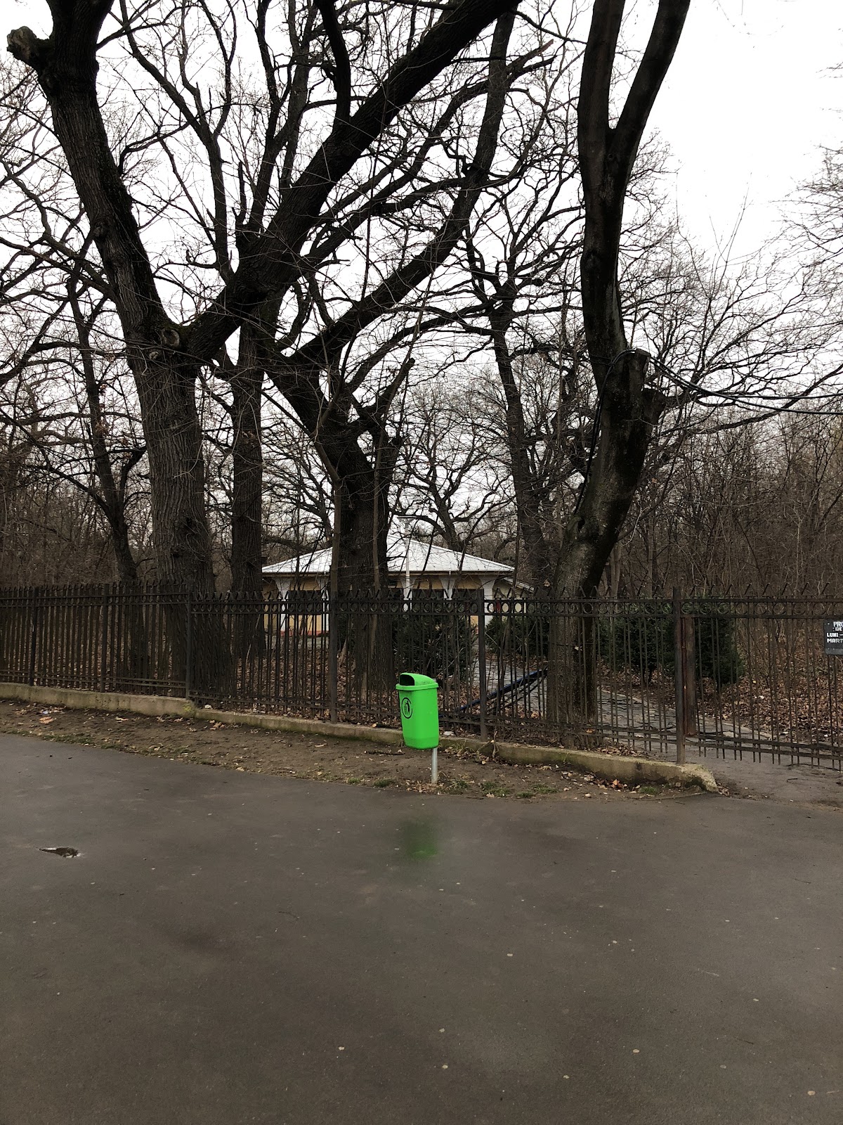 Naturwissenschaftliche Abteilung des Brăila Museums - foto 3