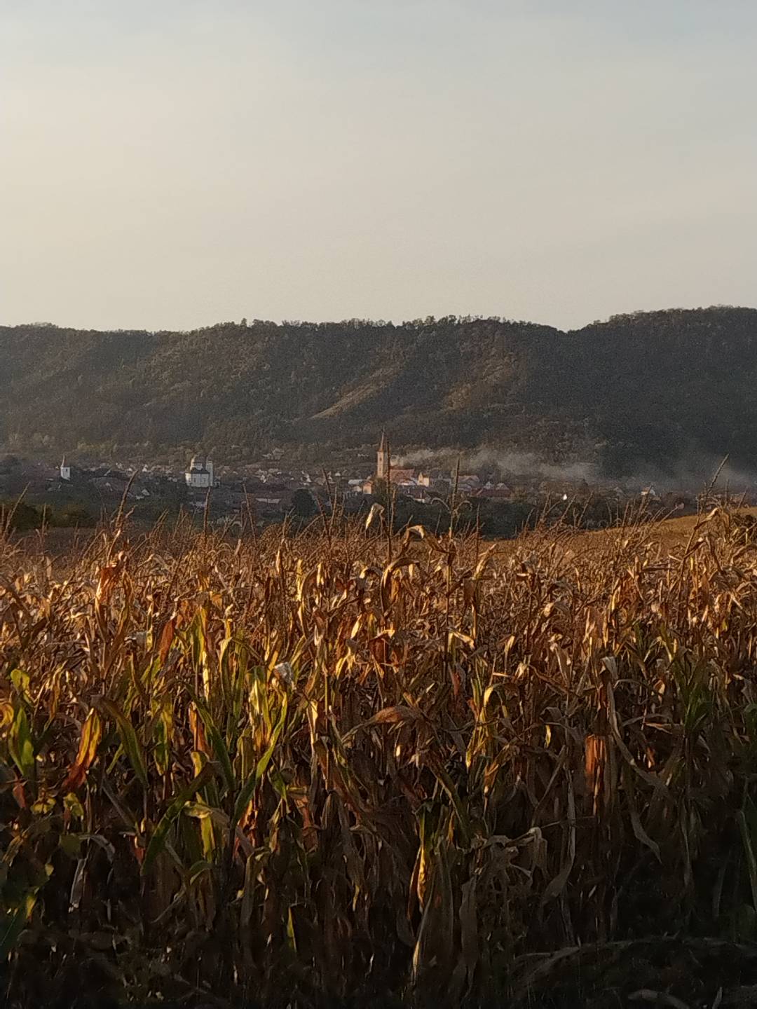 Șeica Mare - foto 3