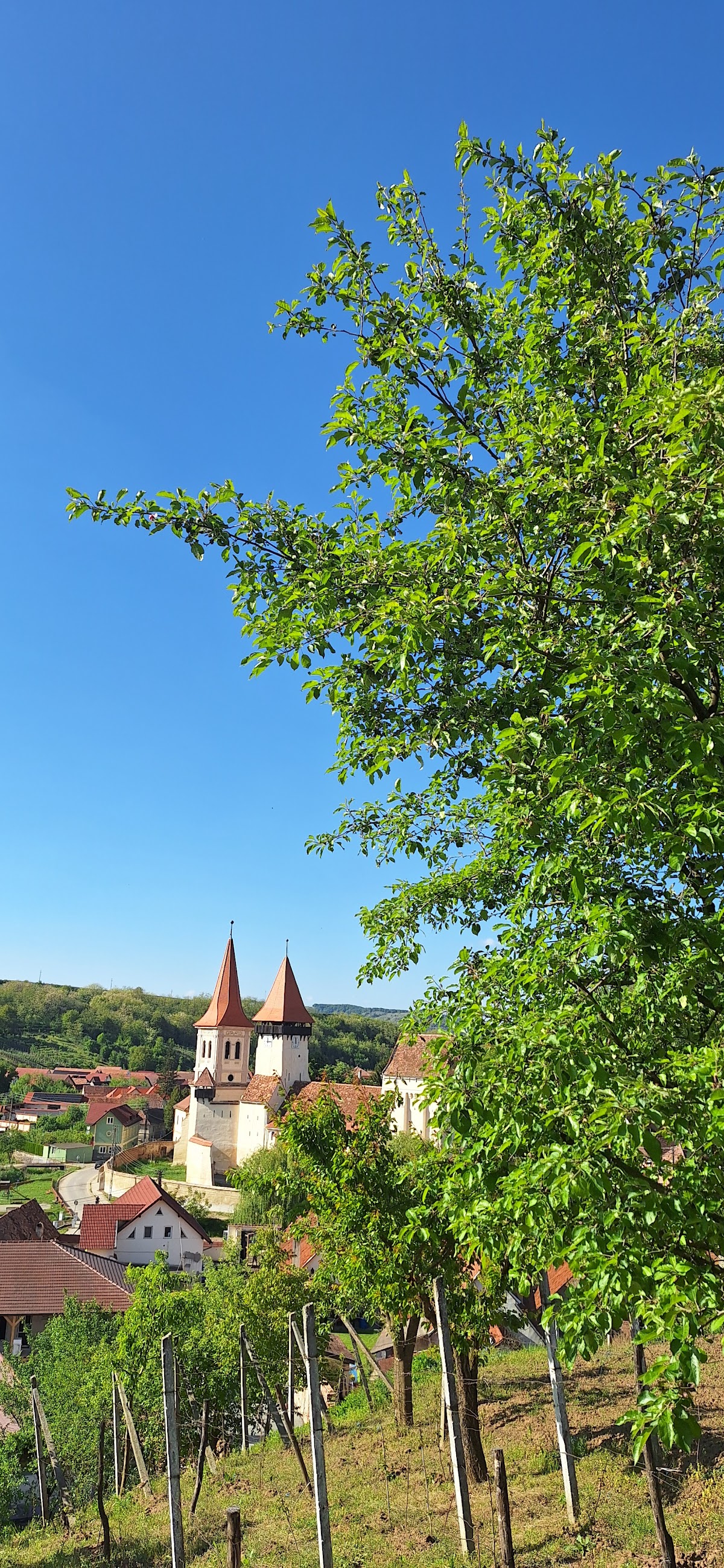 SEICA MICA 203 - foto 1