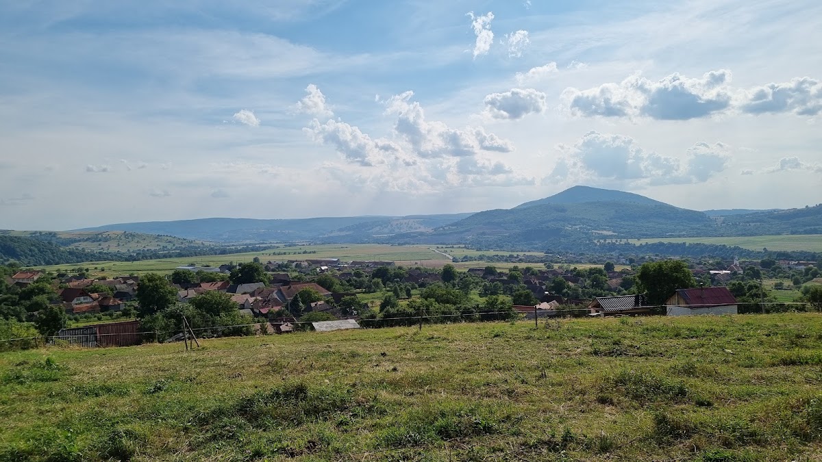 Sepsibukszad - foto 3