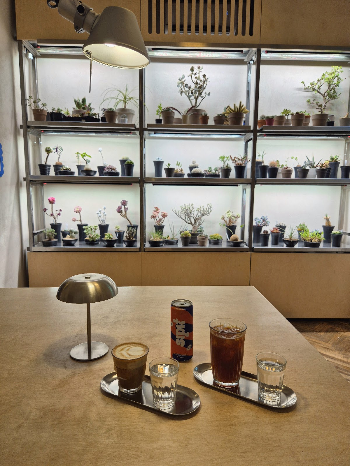 SERA — Plant Bar & Specialty Coffee - foto 3