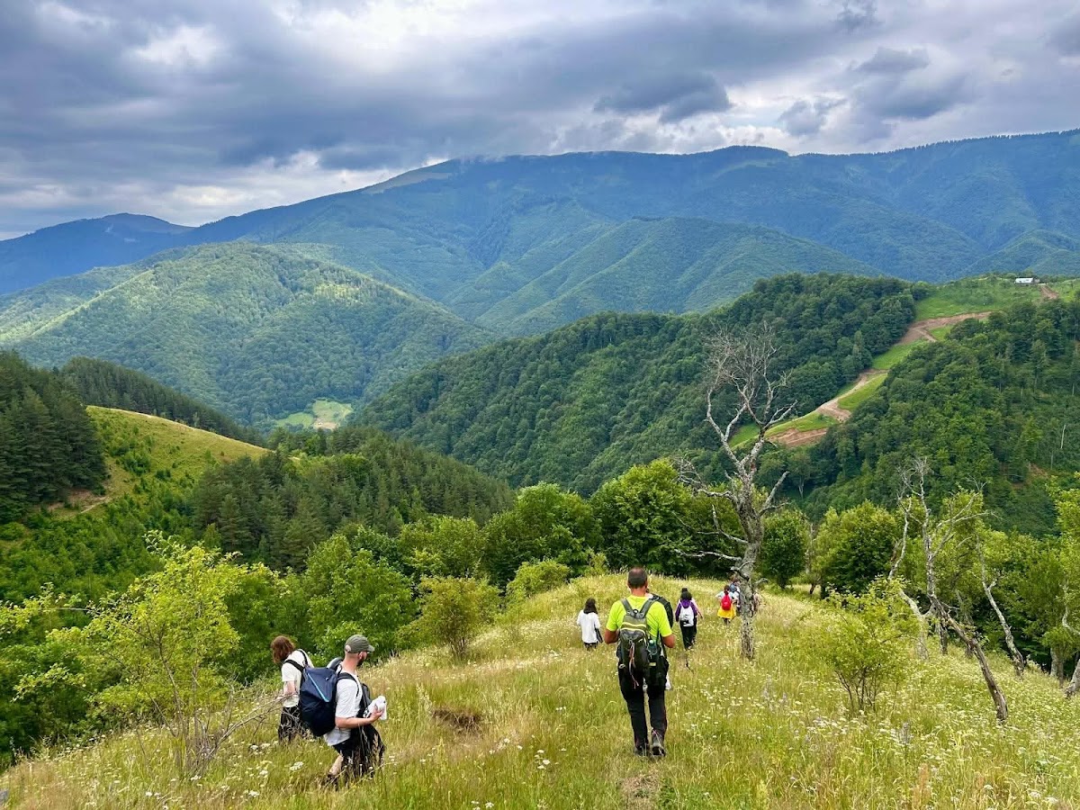 Sibiu Guide Nico | Tours in Transylvania - foto 2