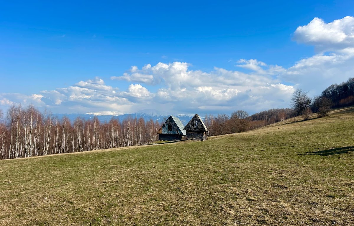 Sibiu Guide Nico | Tours in Transylvania - foto 4