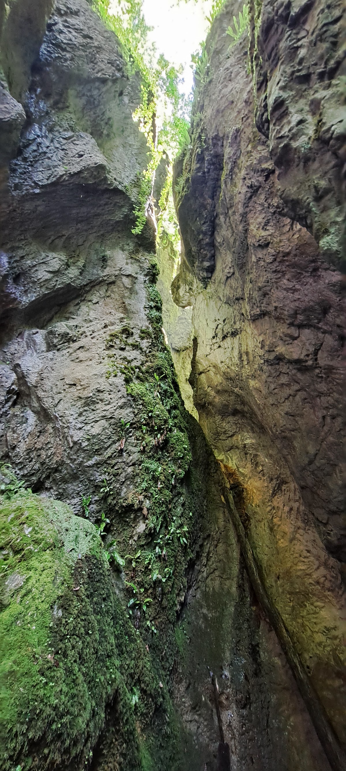 Sighiștel Canyon