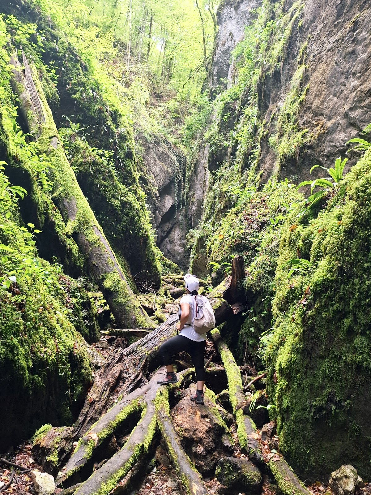 Sighiștel Canyon - foto 2