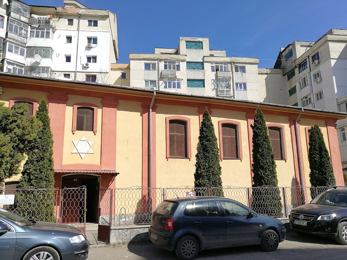 Sinagoga Mare, Carei