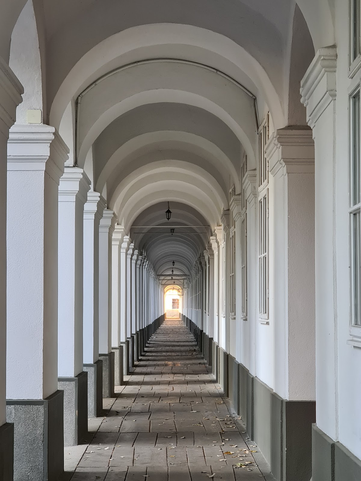 Șirul Canonicilor, Oradea