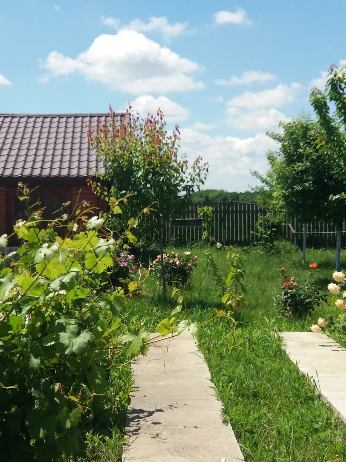 Slatina Park - foto 3