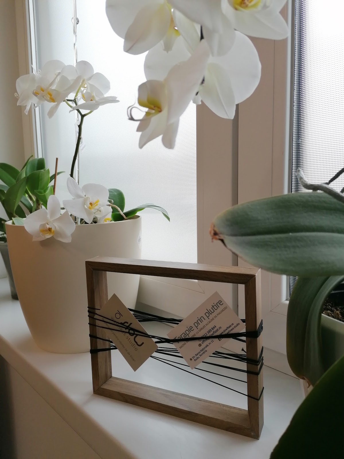 SLOW Wellness Studio - foto 5