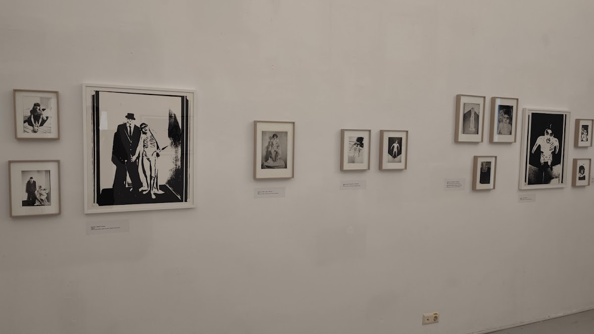 MAGMA Contemporary Art Exhibition Space - foto 5