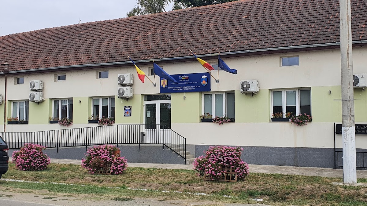 SPCLEP Dinias (Peciu Nou)