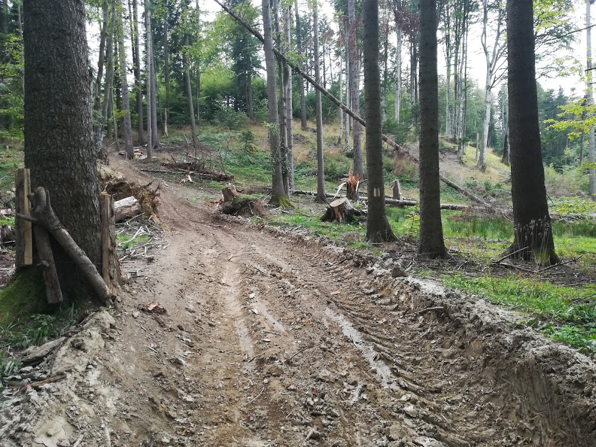 Spinarea Calului - foto 3