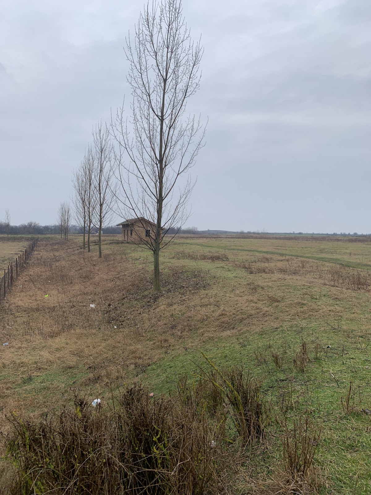 Stadionul Goicea Mica - foto 3