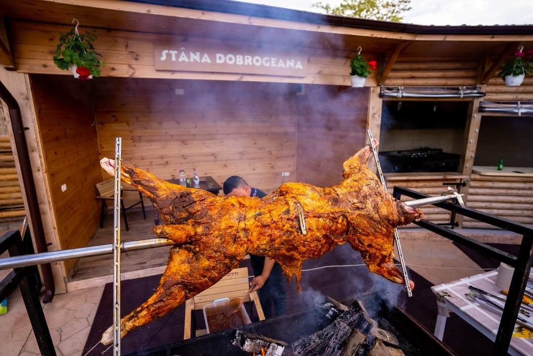 Stana Dobrogeana
