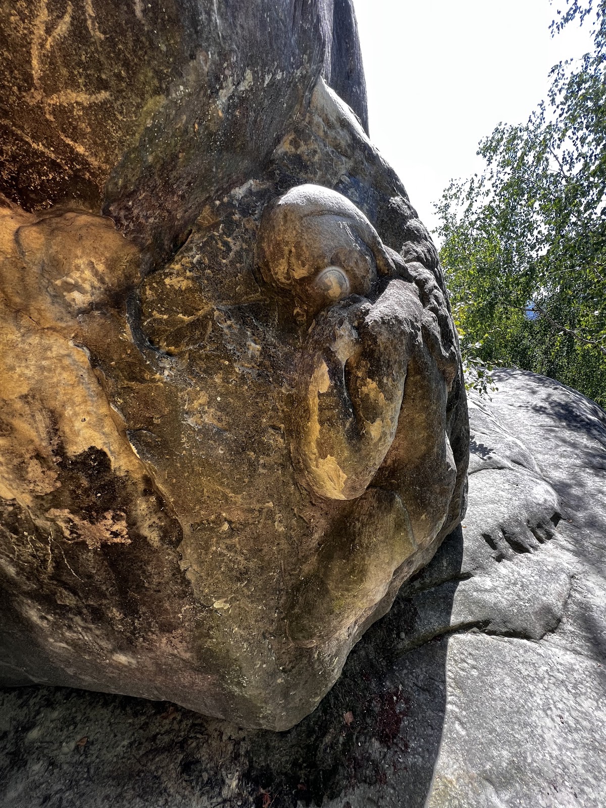 Stânca cu sculpturi - foto 5