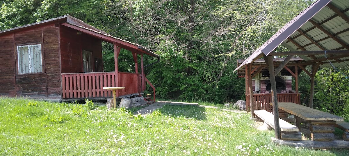 Stațiunea Balneoclimatică Bazna - foto 2