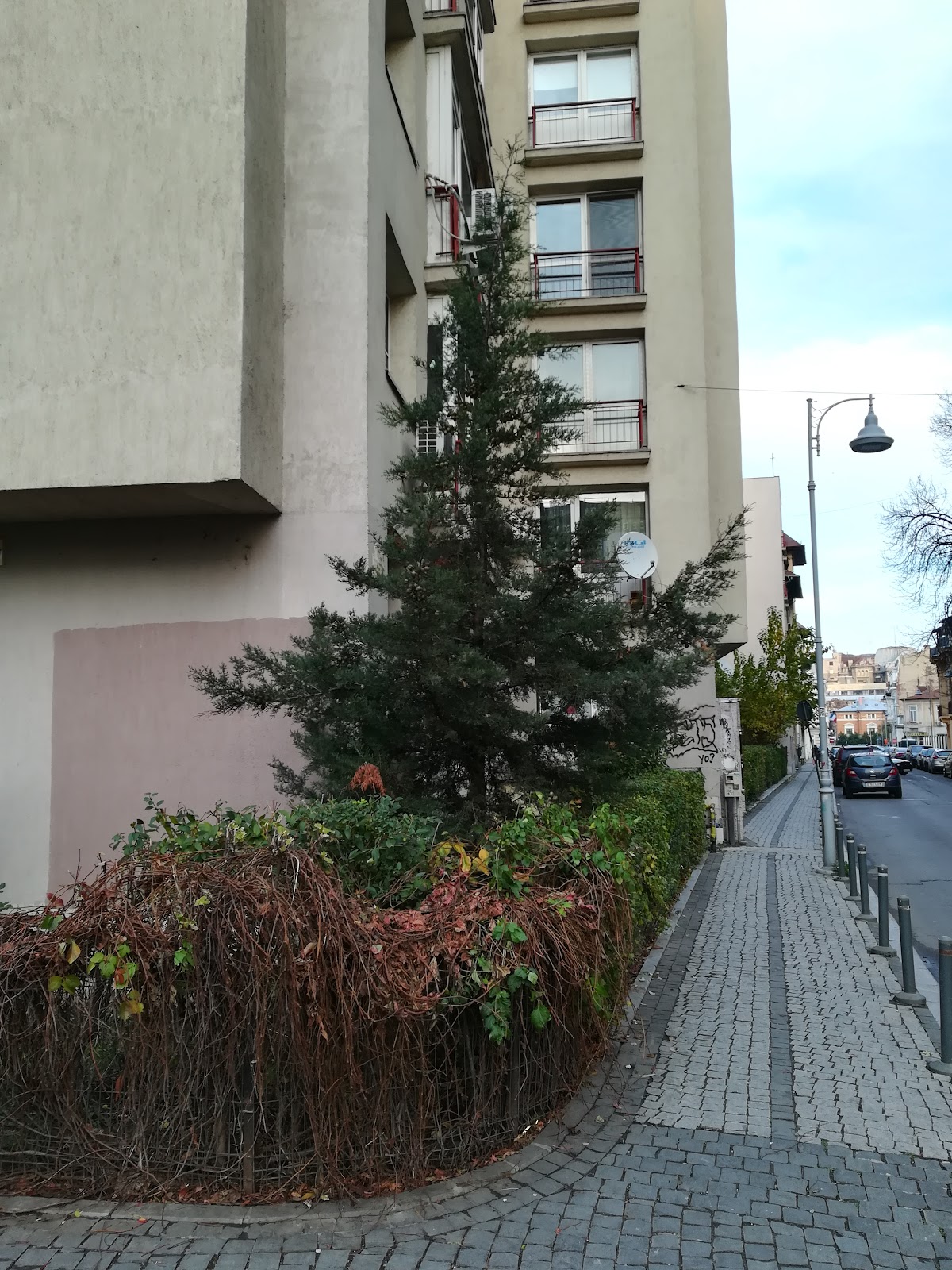 Statuia „Alergătorii” - foto 4