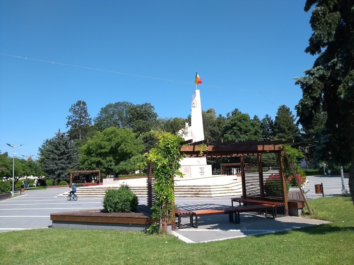 Statuia Ecvestră a lui Bogdan I - foto 3