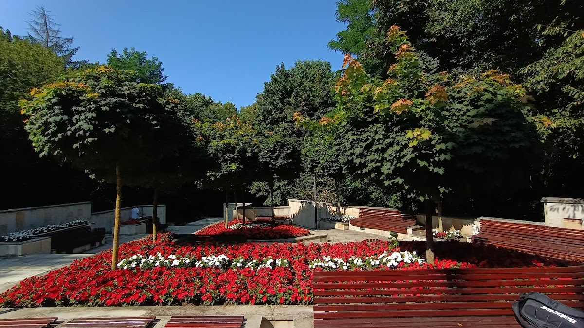 Statuia ecvestră a lui Ștefan cel Mare din Suceava - foto 5