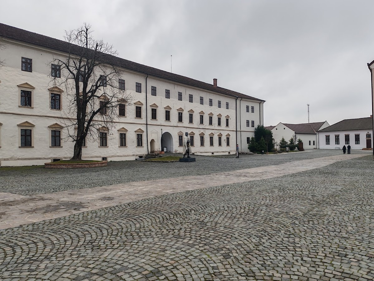 Statuia ecvestra a regelui Ladislau cel Sfant - foto 2
