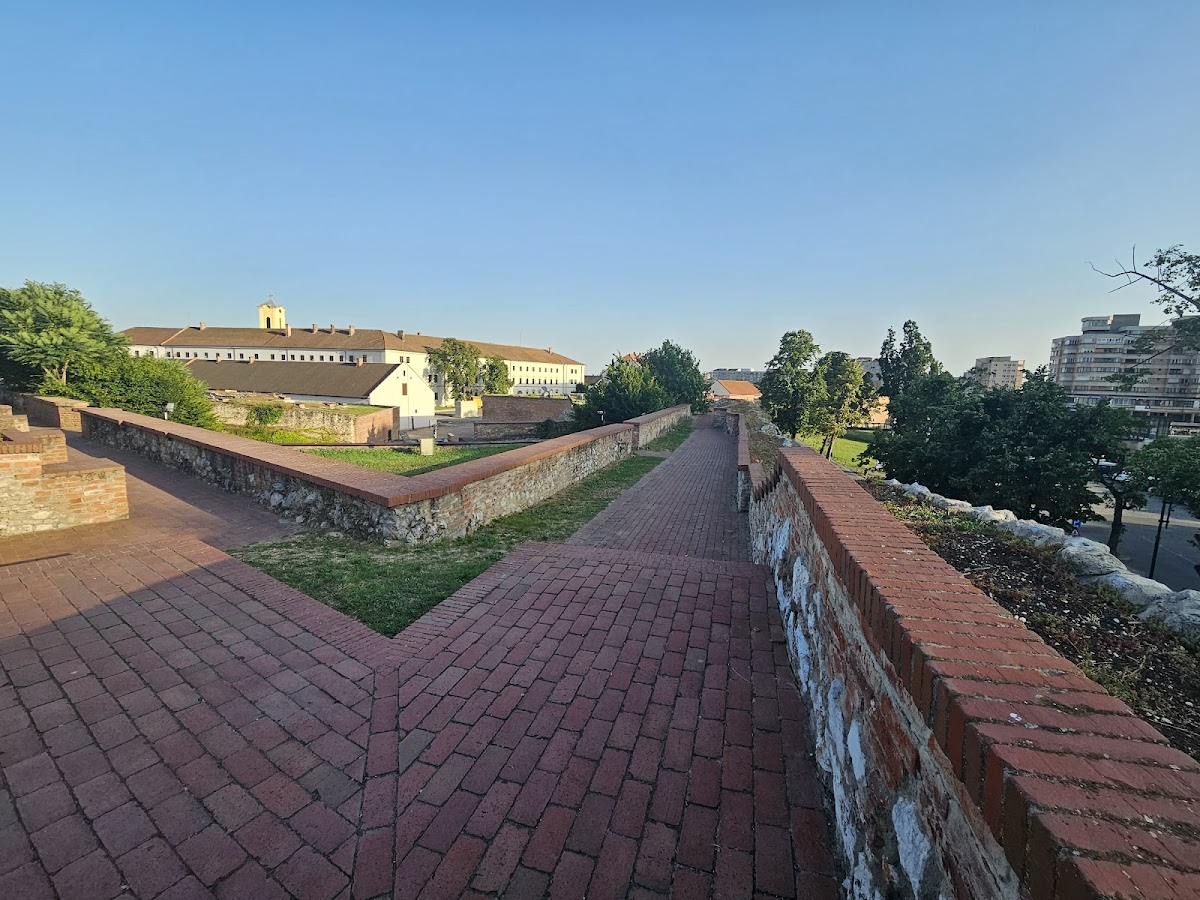 Statuia ecvestra a regelui Ladislau cel Sfant - foto 3