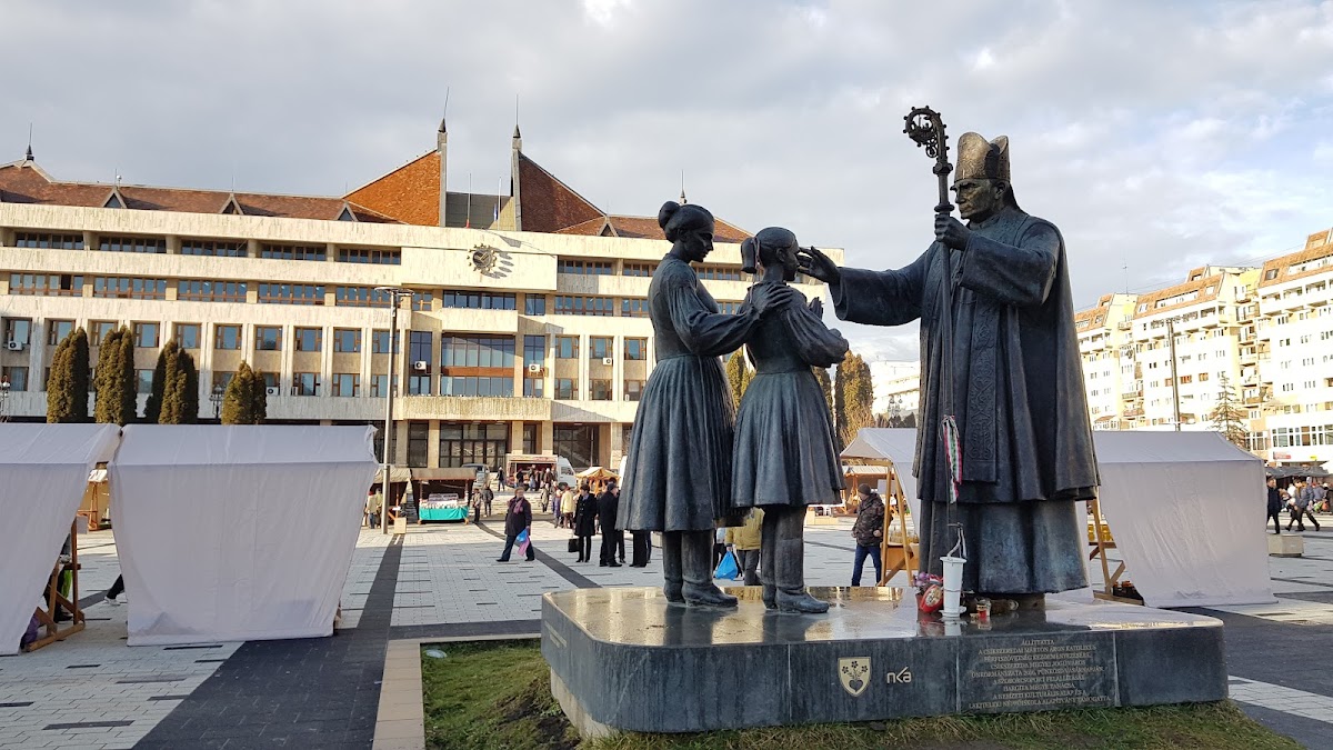 Statue de l'Évêque Márton Áron - foto 5