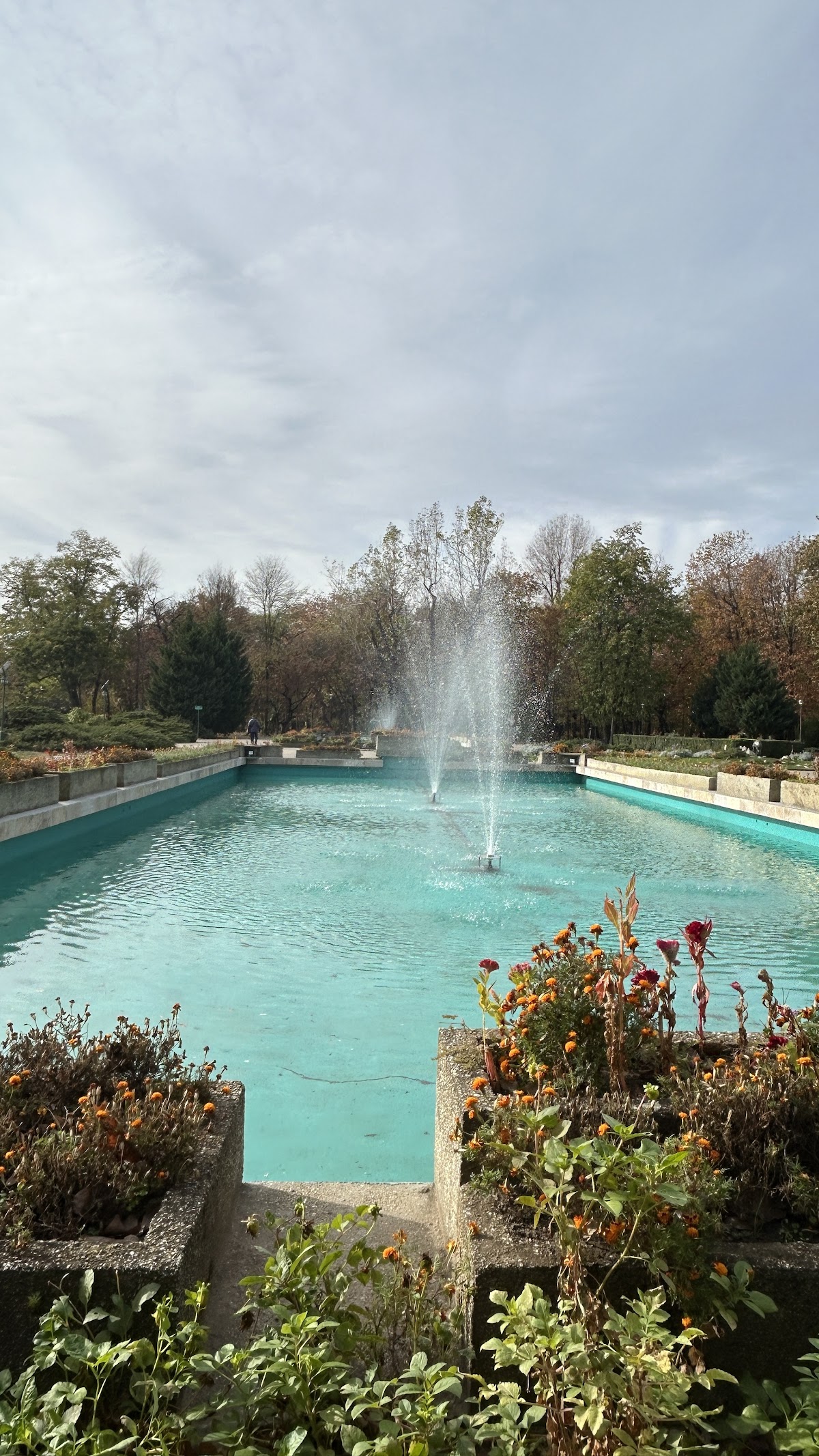 Statuia lui Charles De Gaulle - foto 5