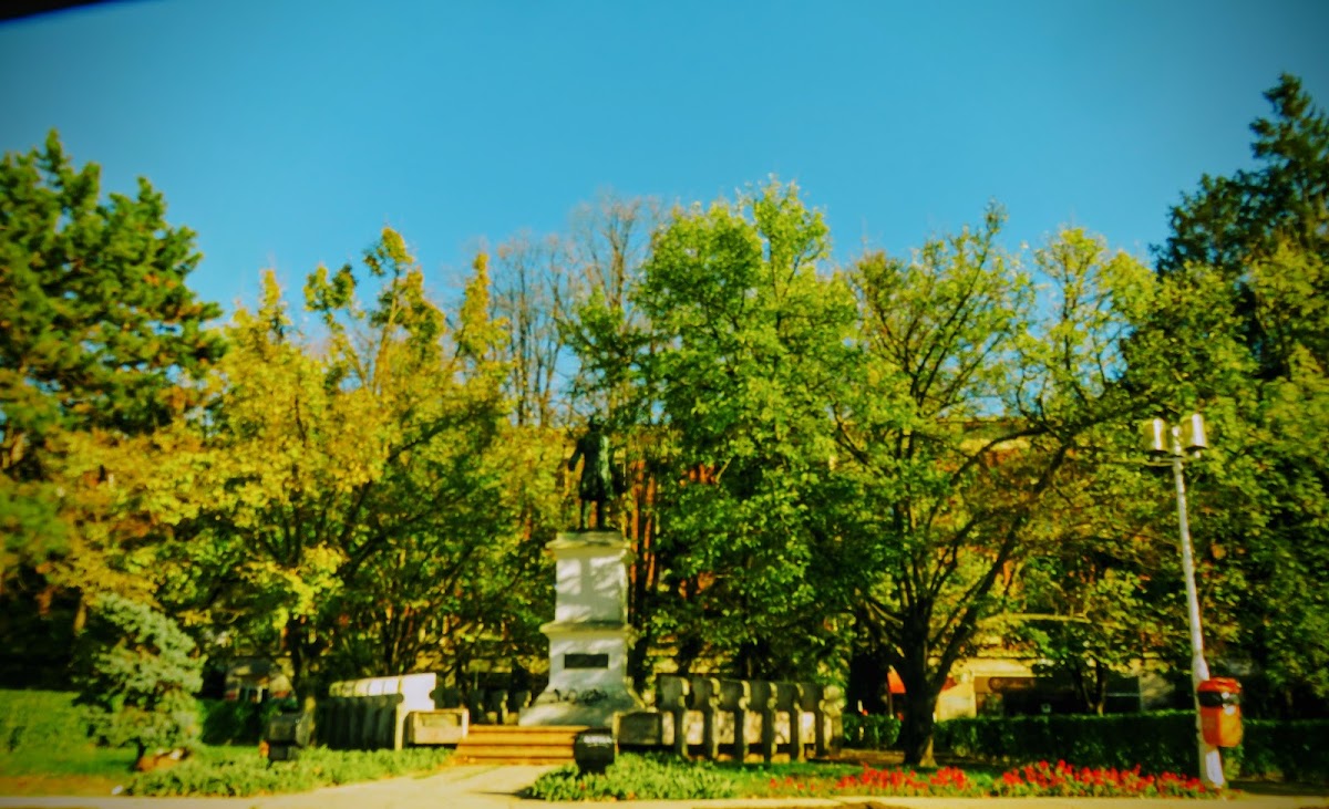 Statue de Costache Negri - foto 2