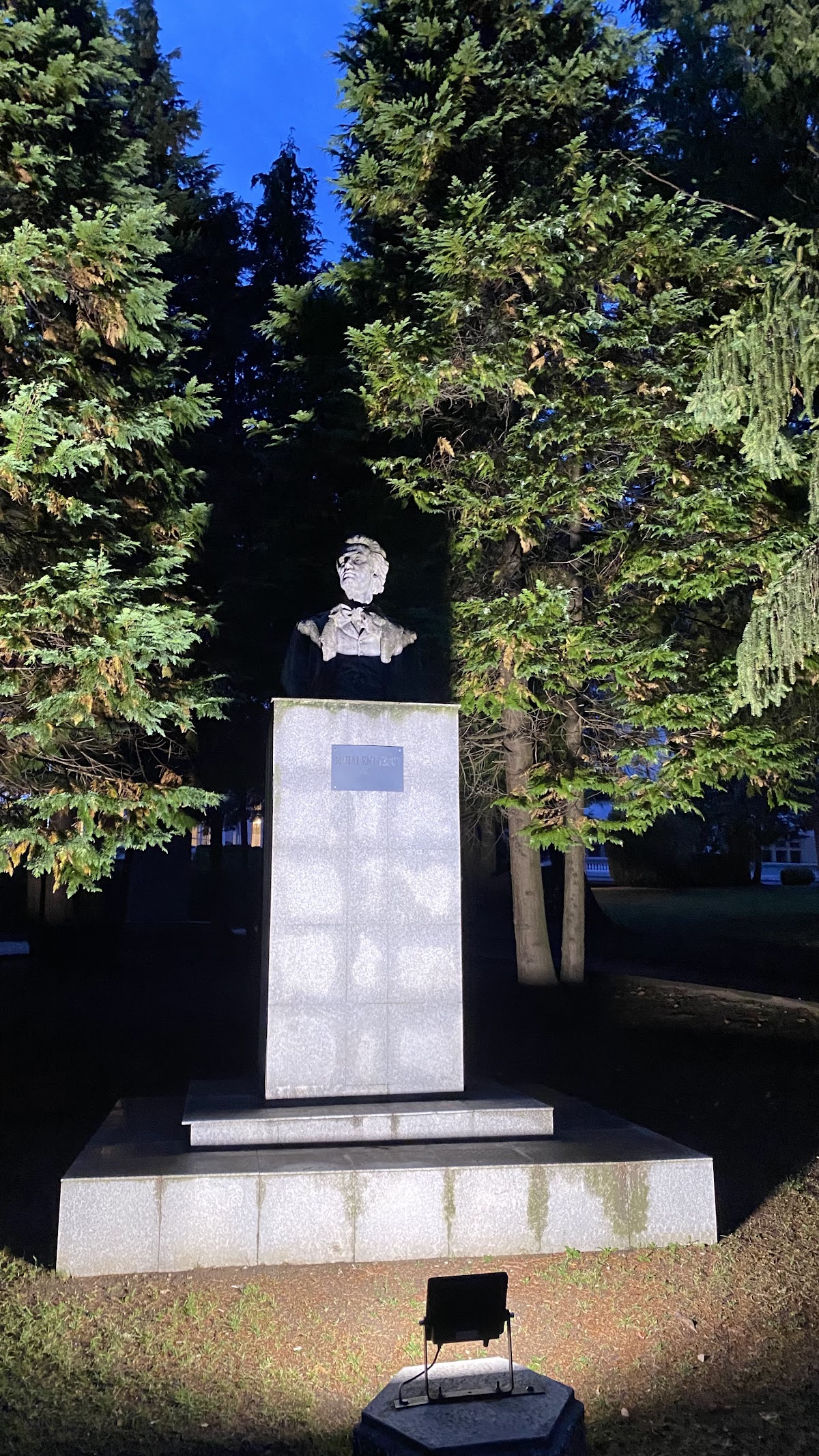 STATUA DI EMINESCU - foto 2