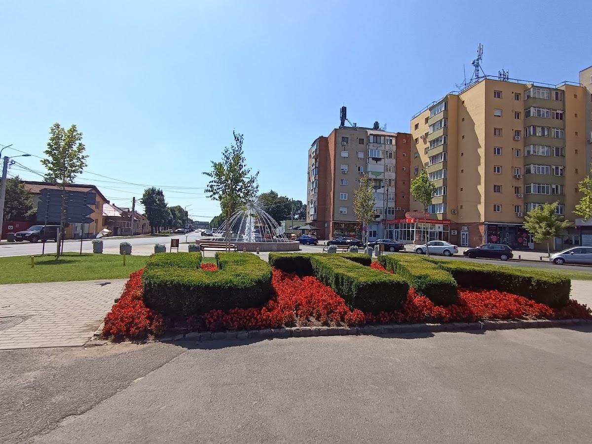 Statuia lui Iosif Petschovschi - foto 3