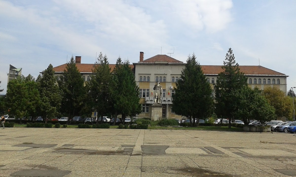Statuia Minerului - foto 3