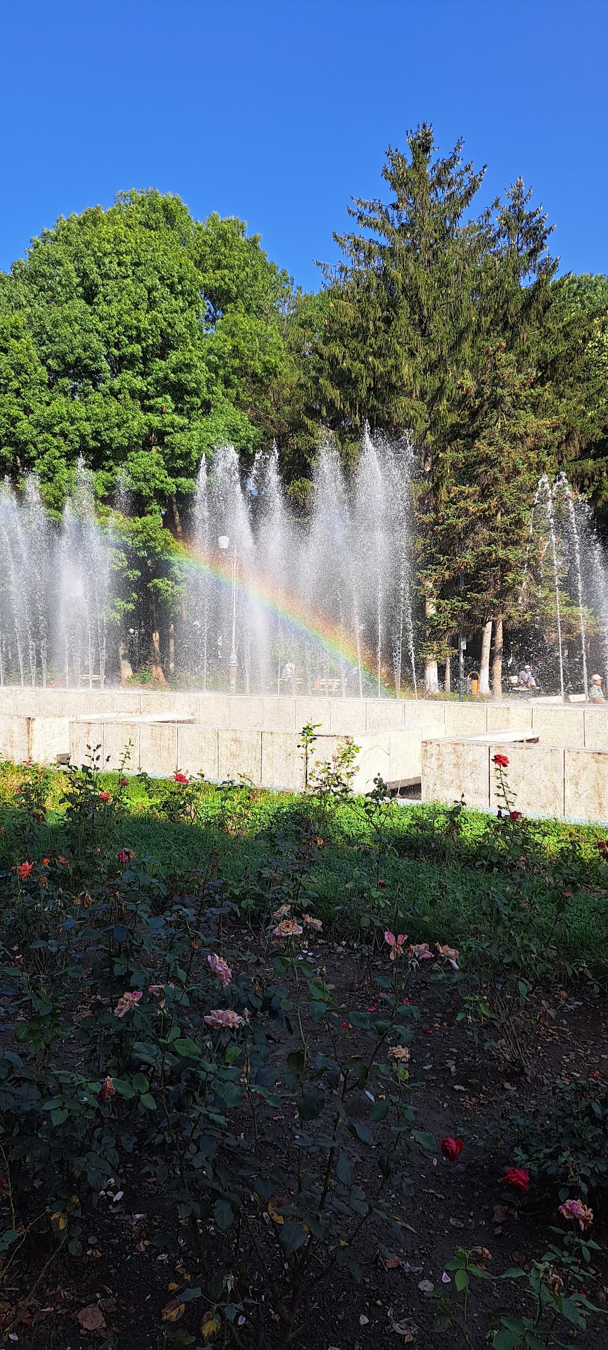 Statuie ,,Mircea Cancicov" - foto 3