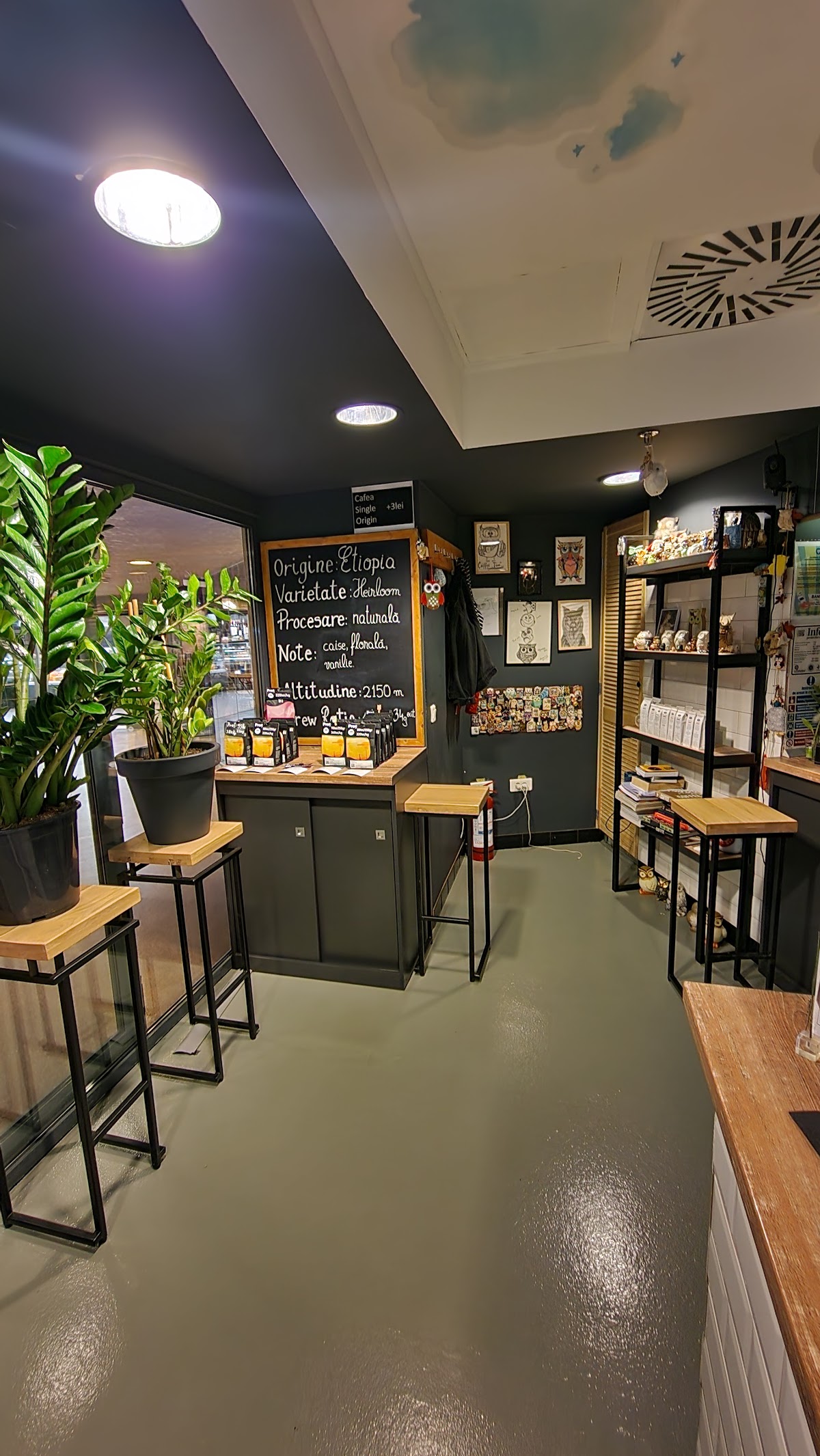 Status Coffee - foto 5
