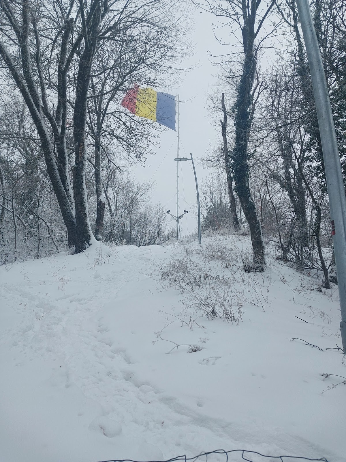 Le Drapeau de la Roumanie sur Tâmpa - foto 4