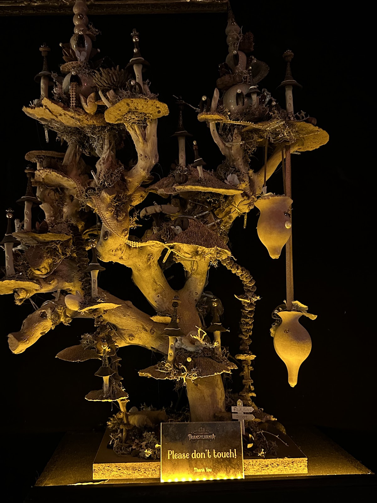 Steampunk Transylvania - foto 5