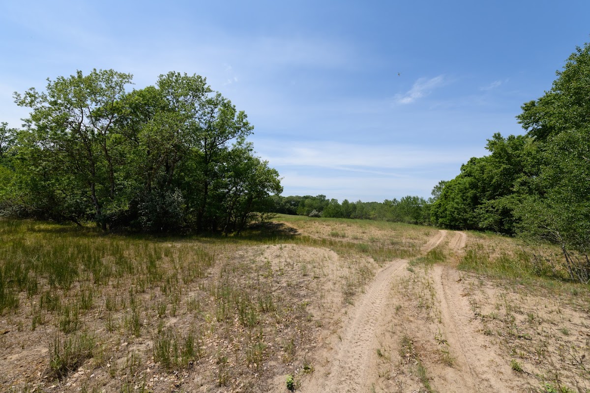 A Caraormani Ősi Tölgyek - foto 5