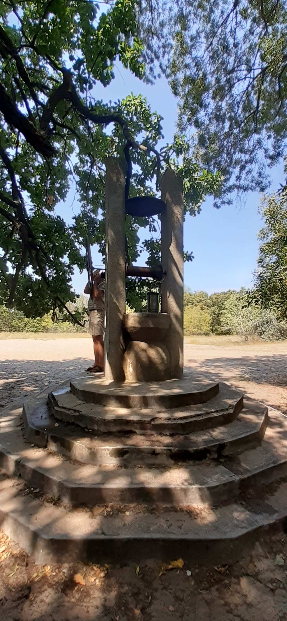 Le Chêne À Genoux - foto 3