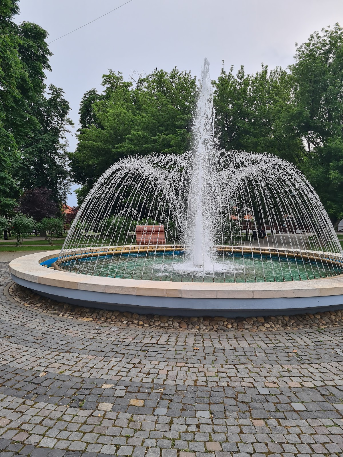 Avram Iancu's Oak - foto 2