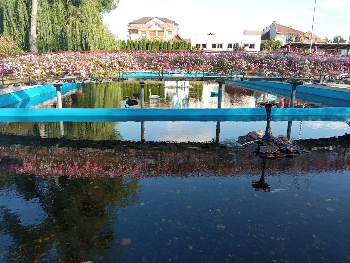 Avram Iancu's Oak - foto 3