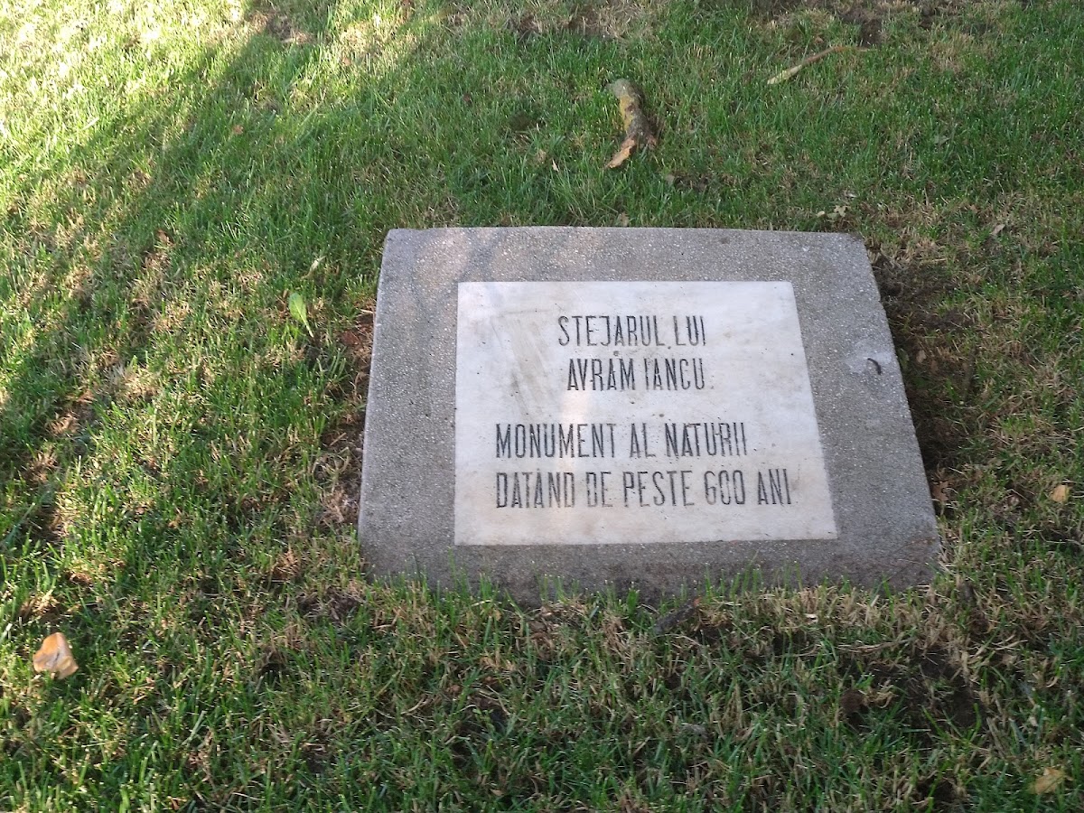 Avram Iancu's Oak - foto 4