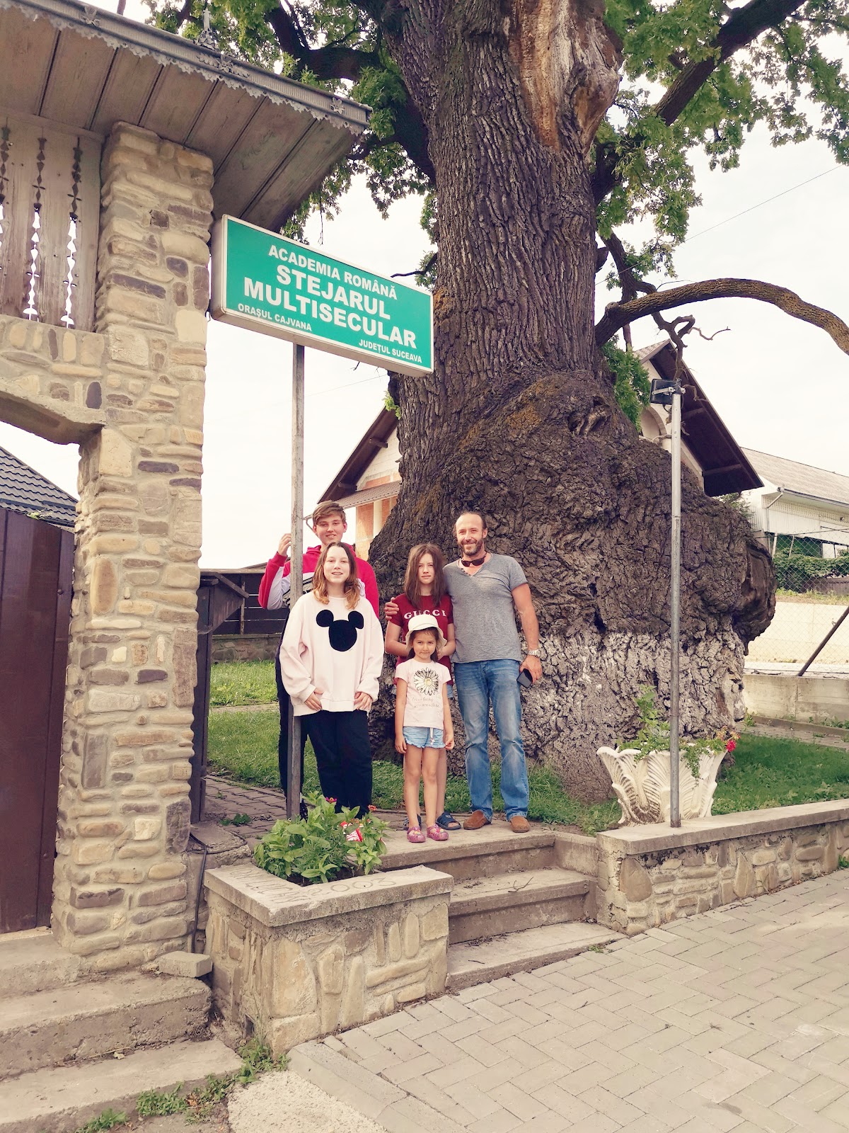 El Roble Centenario - foto 5