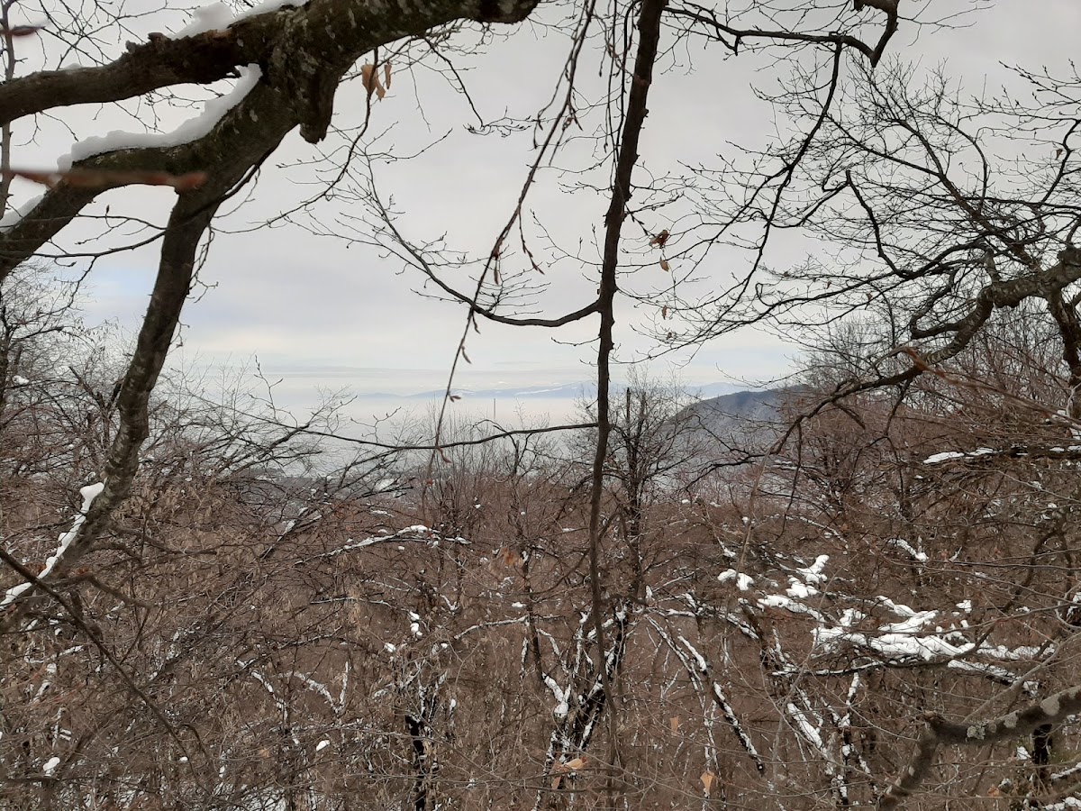 Stejerișul Mare - foto 3