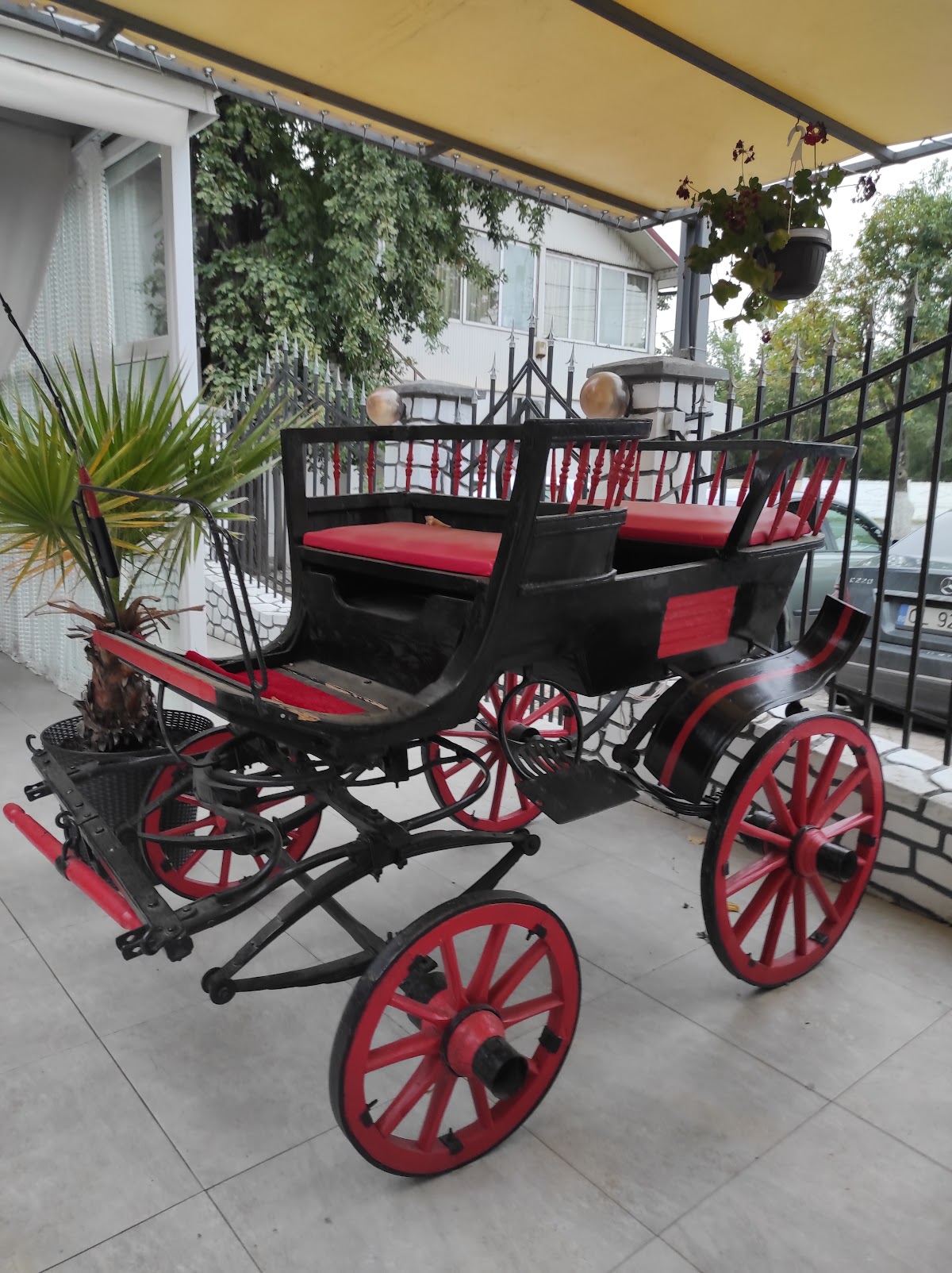 Stimex "2Colonei" Pensiune şi Restaurant - foto 4