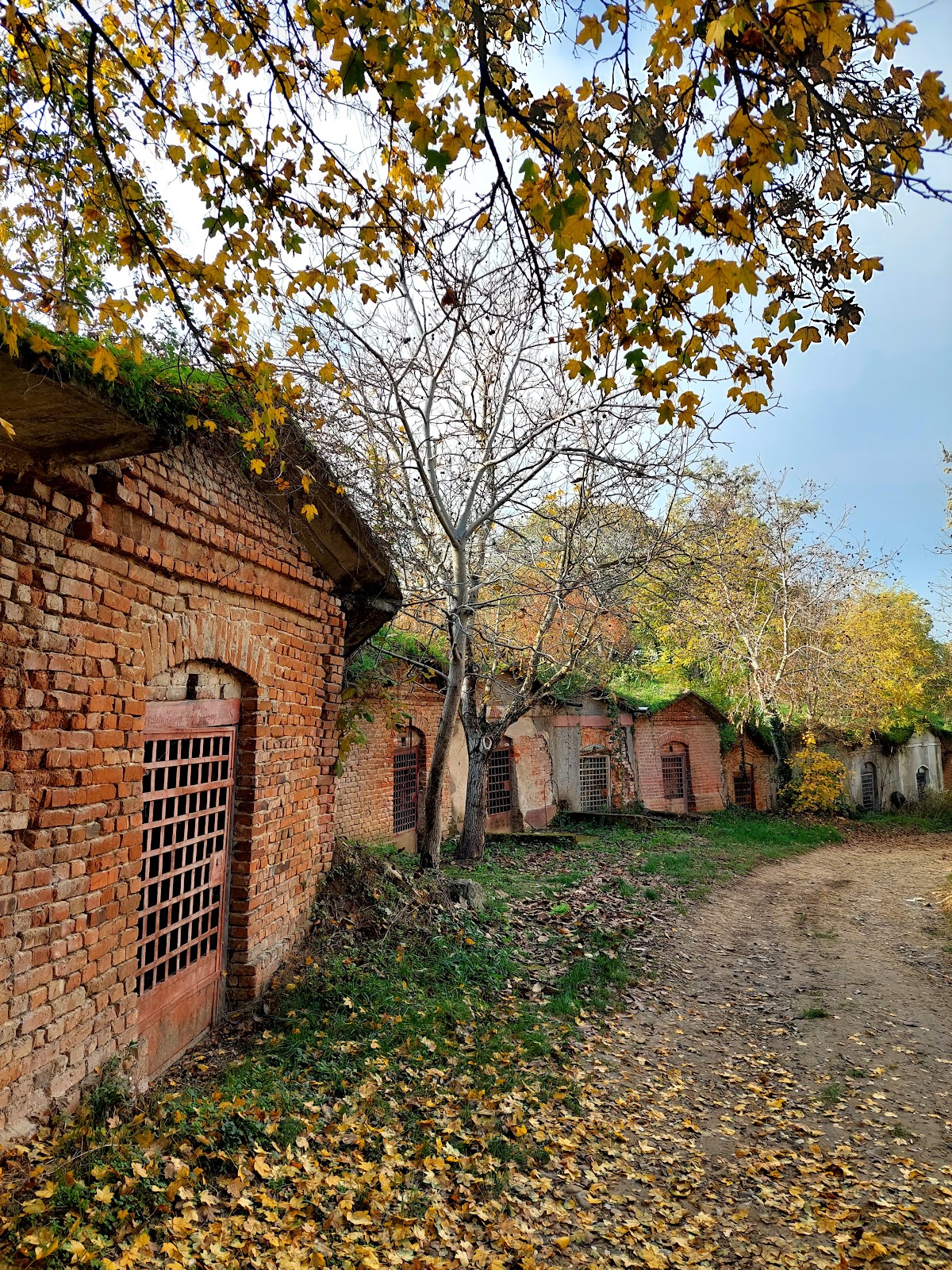 Strada Pivnițelor