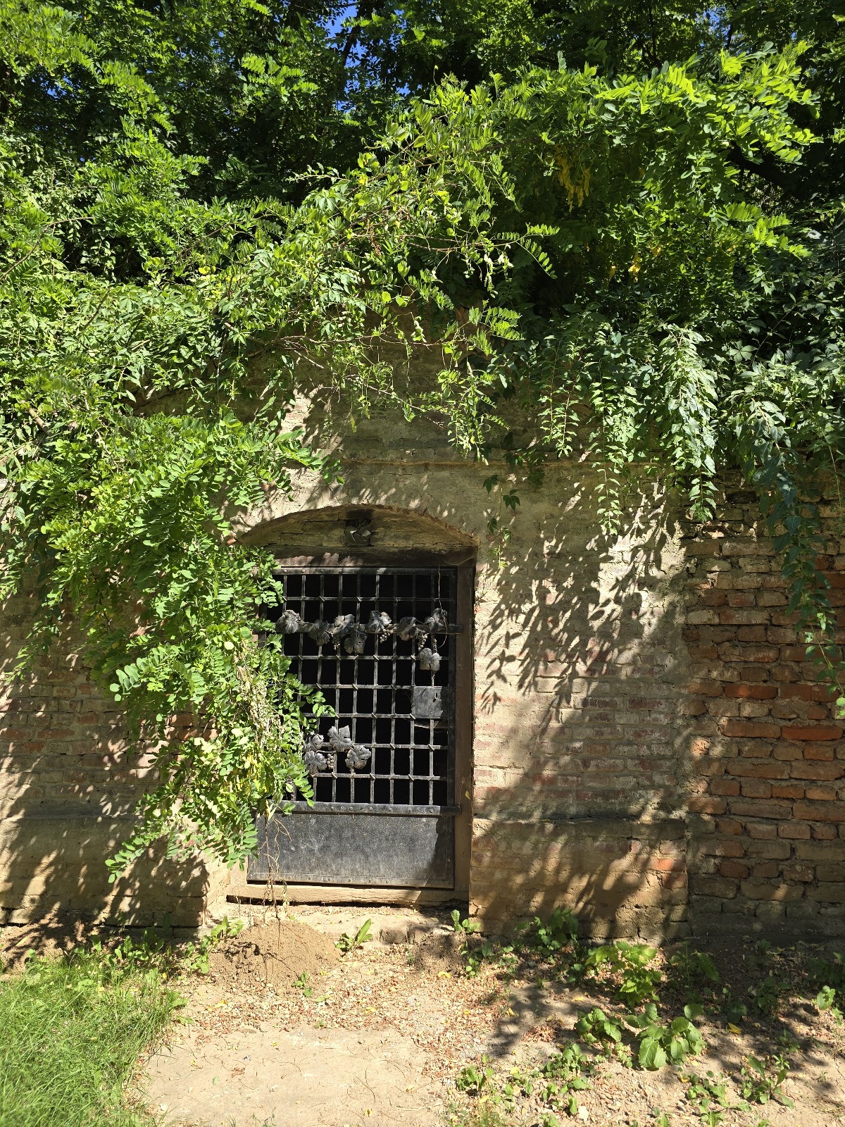 Strada Pivnițelor - foto 5