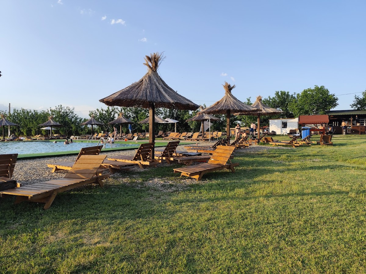 Cărpiniş
