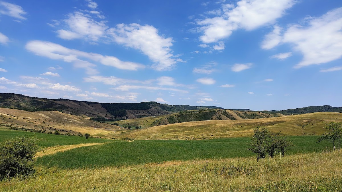 Stufărișurile de la Sic - foto 3
