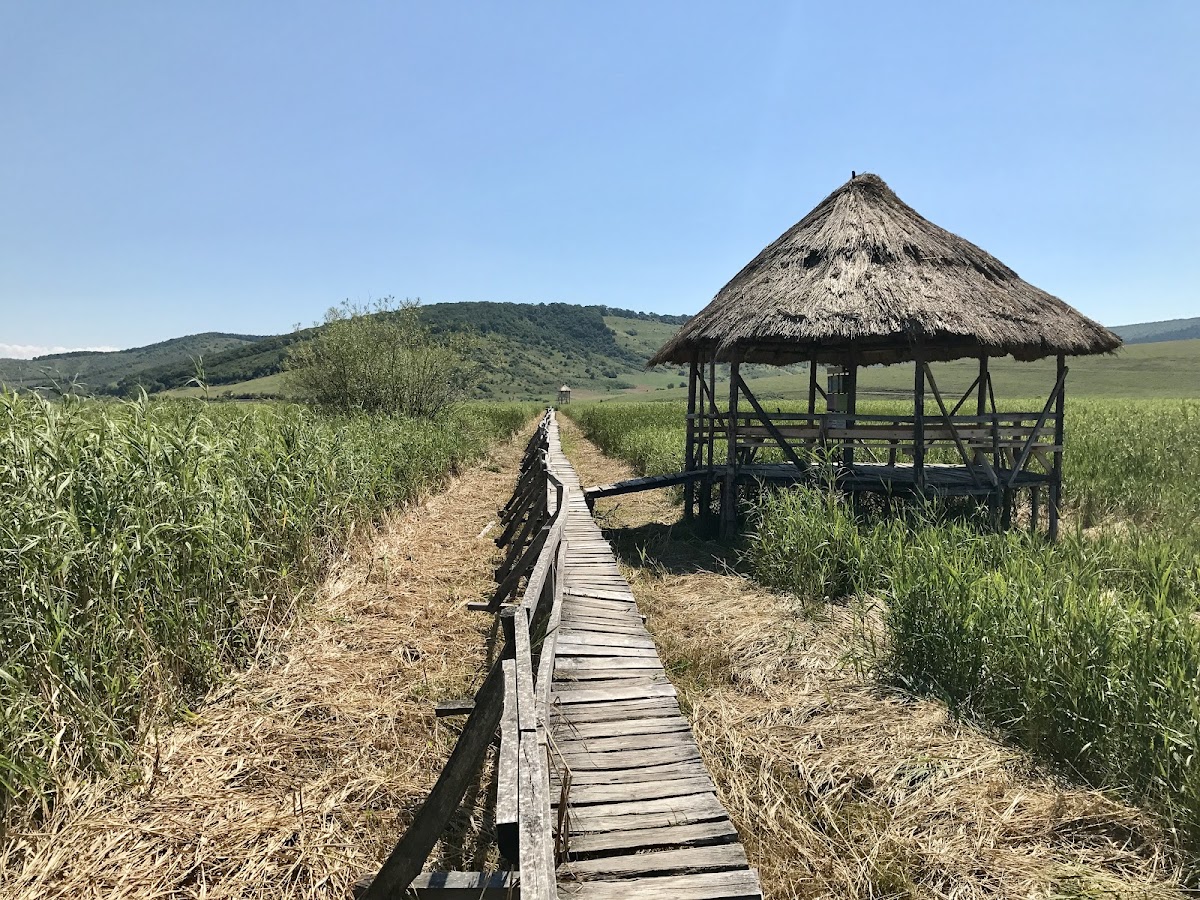 Stufărișurile de la Sic - foto 4